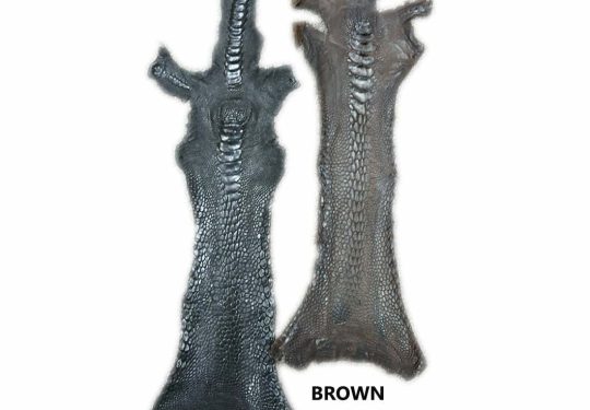 Emu Leg Skin
