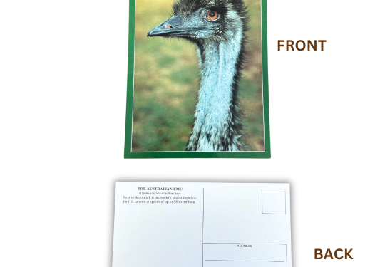 Emu Postcard
